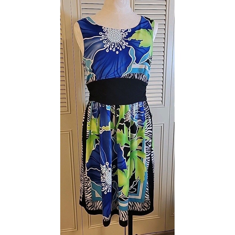 Perceptions New York Women’s Multicolor Sleeveless A-Line Dress Size 10